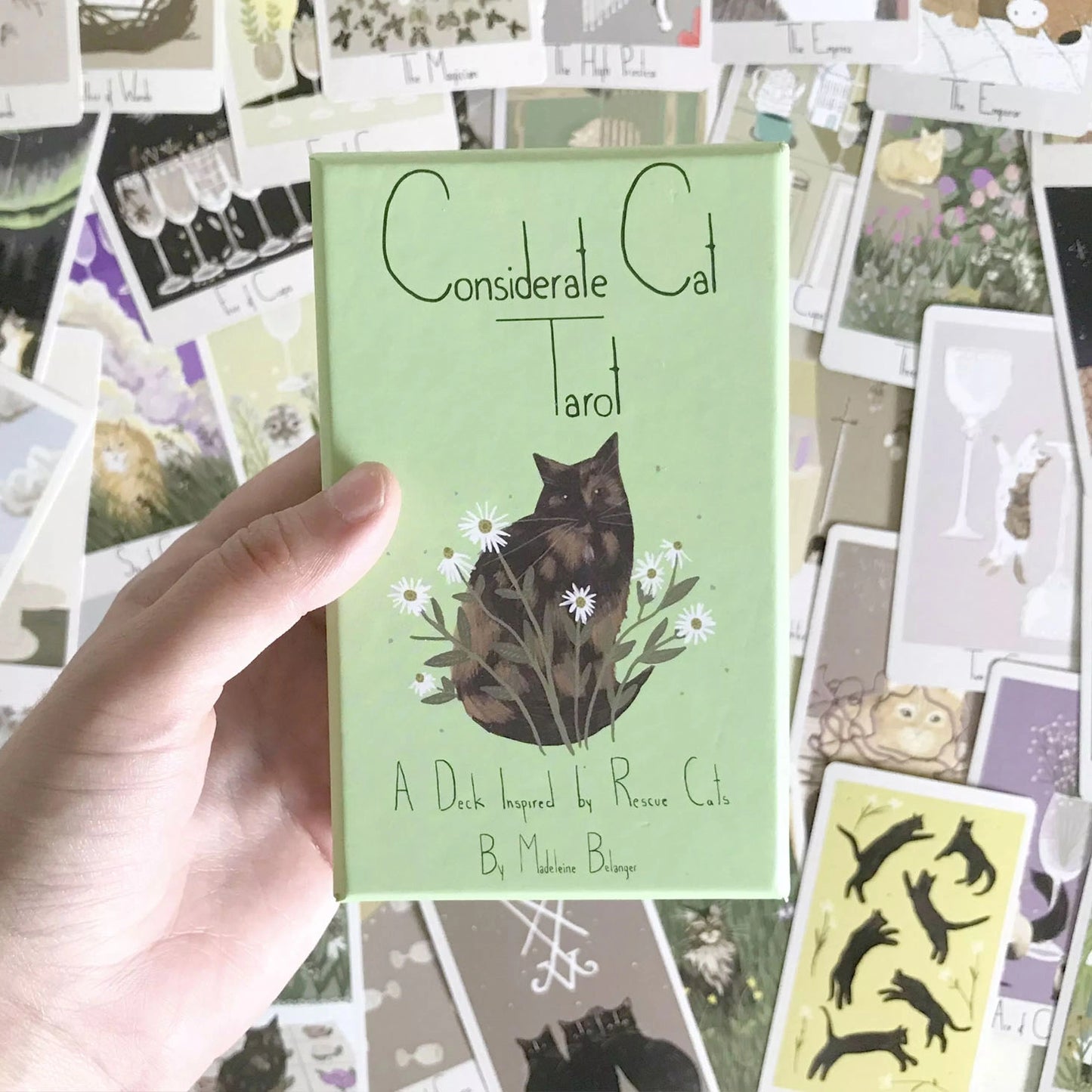 Considerate Cat Tarot Deck