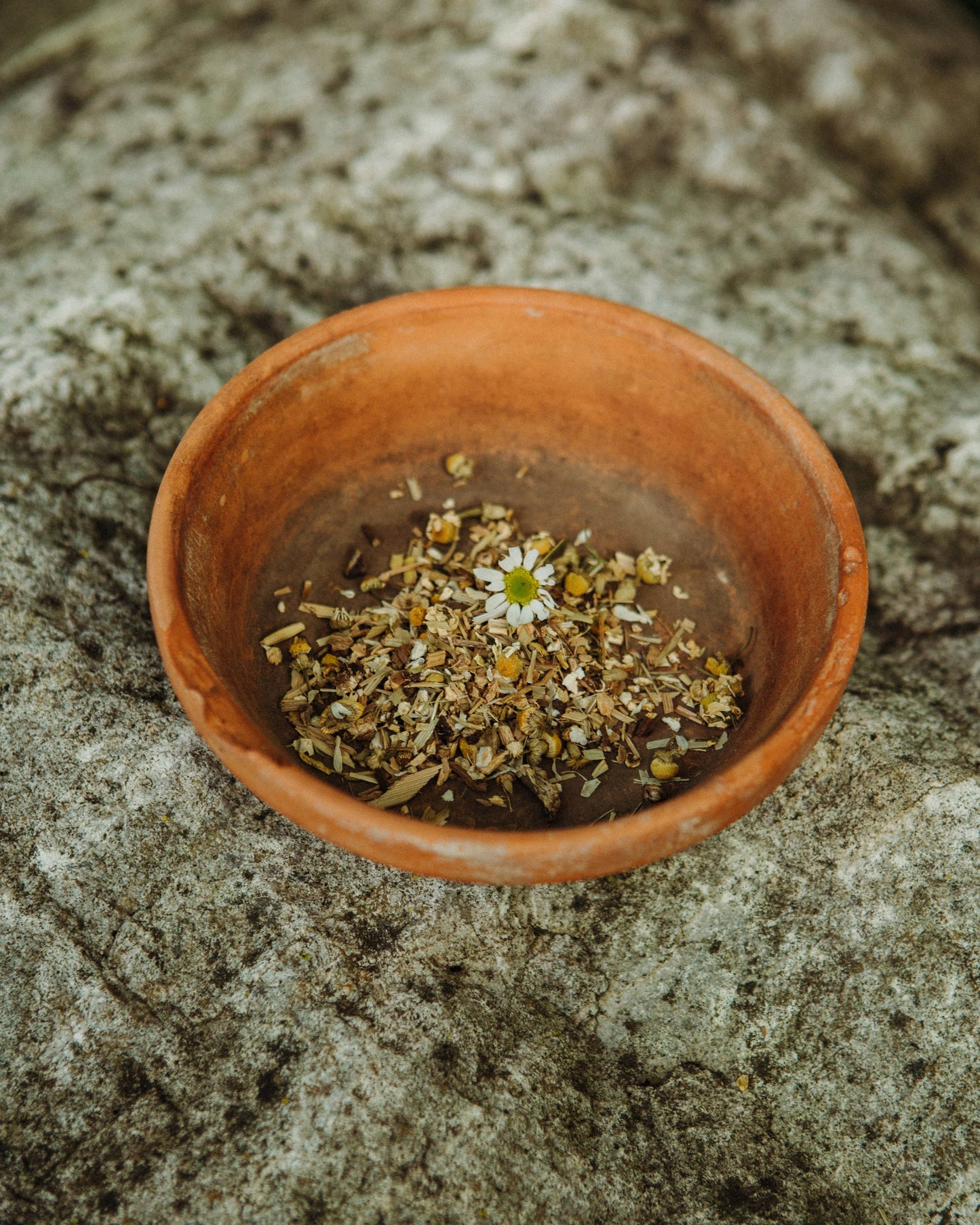 Rosewood + Silver Tea: Gut Feeling