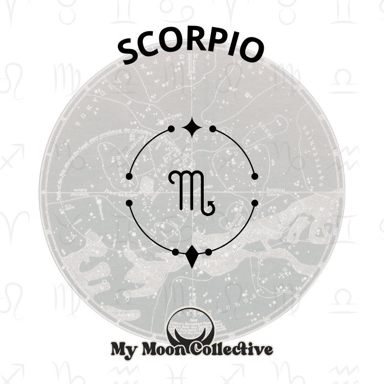 Astro & Angels Collection: Zodiac Charms