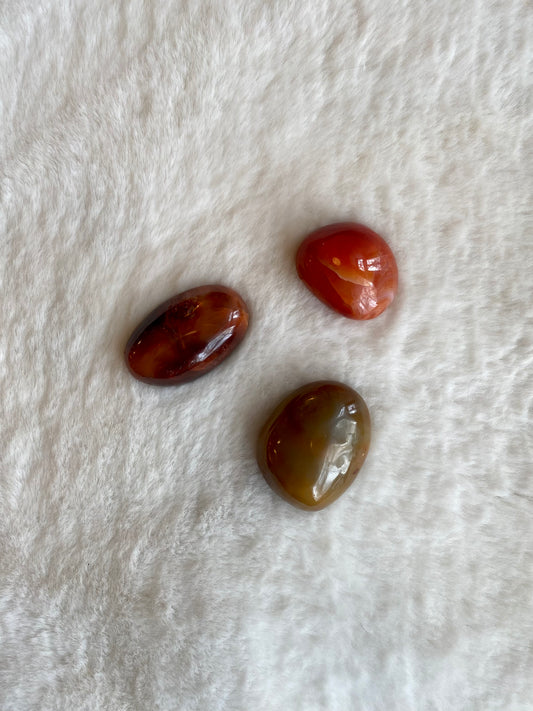 Palmstone - Carnelian