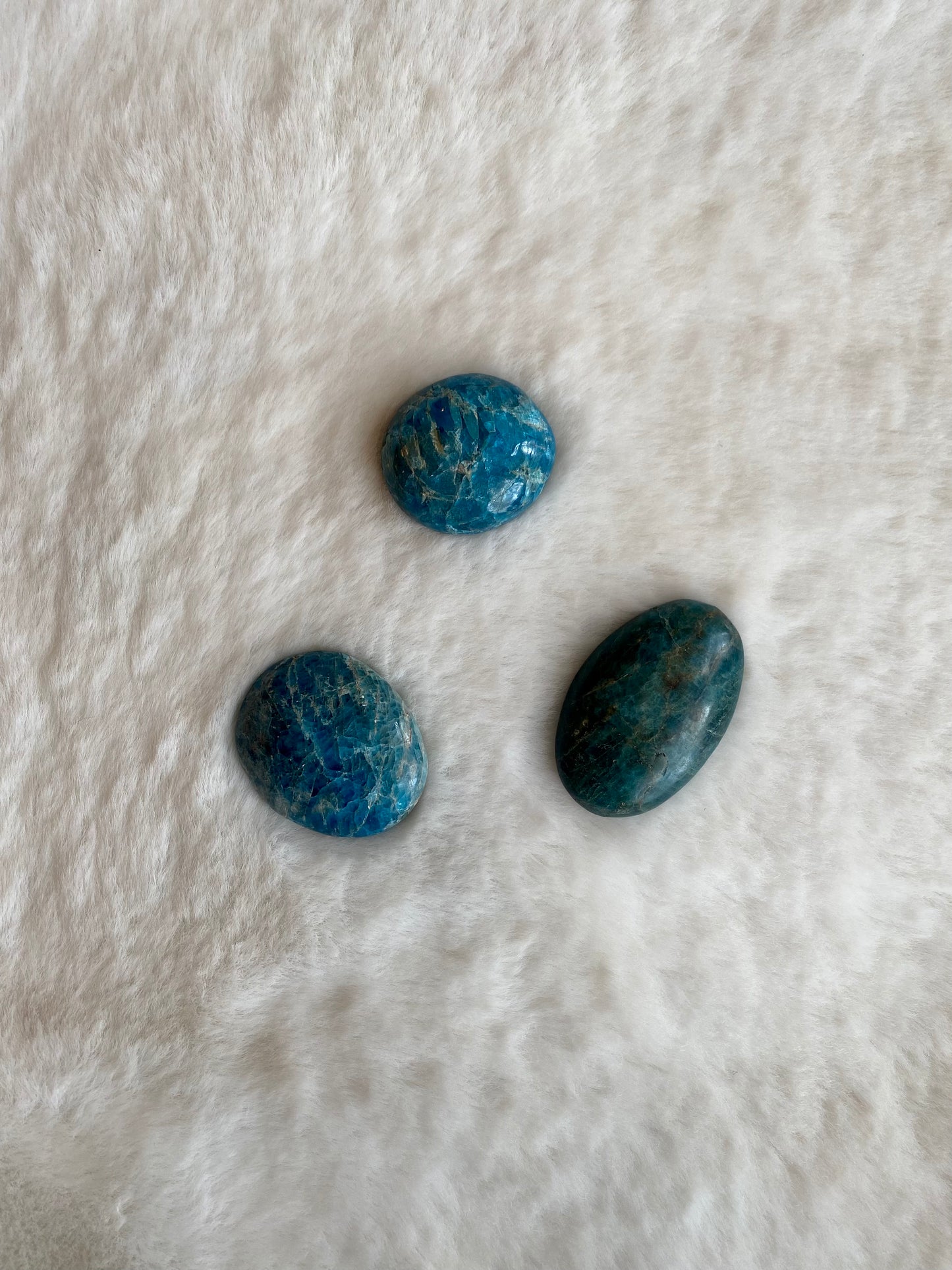 Palmstone - Blue Apatite