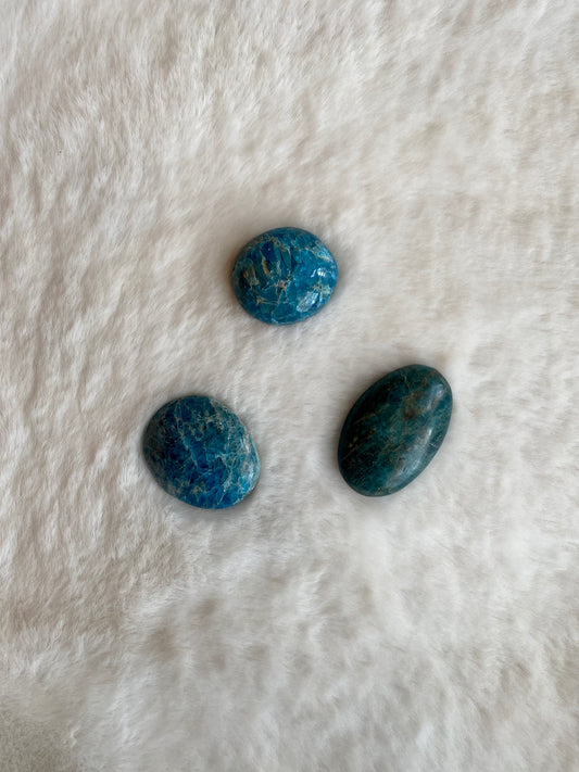 Palmstone - Blue Apatite