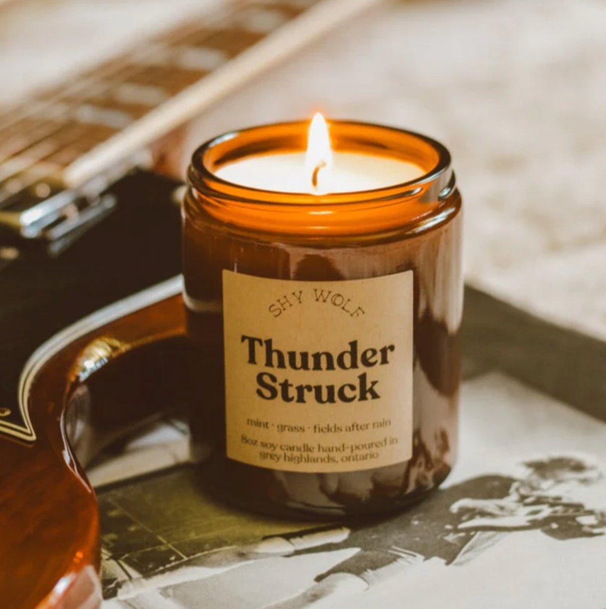 Shy Wolf Candle - Vinyl Collection