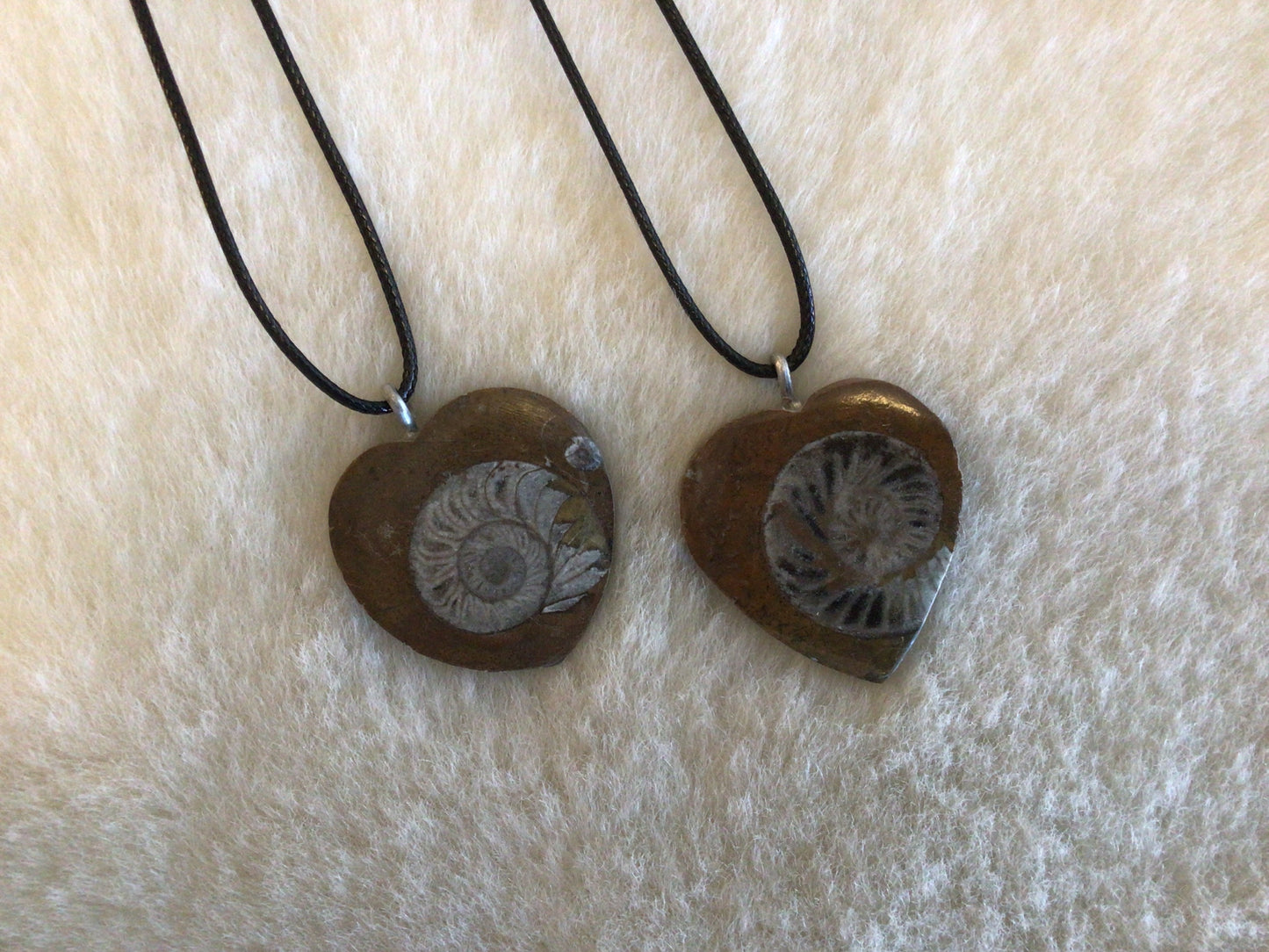 Ammonite Necklace