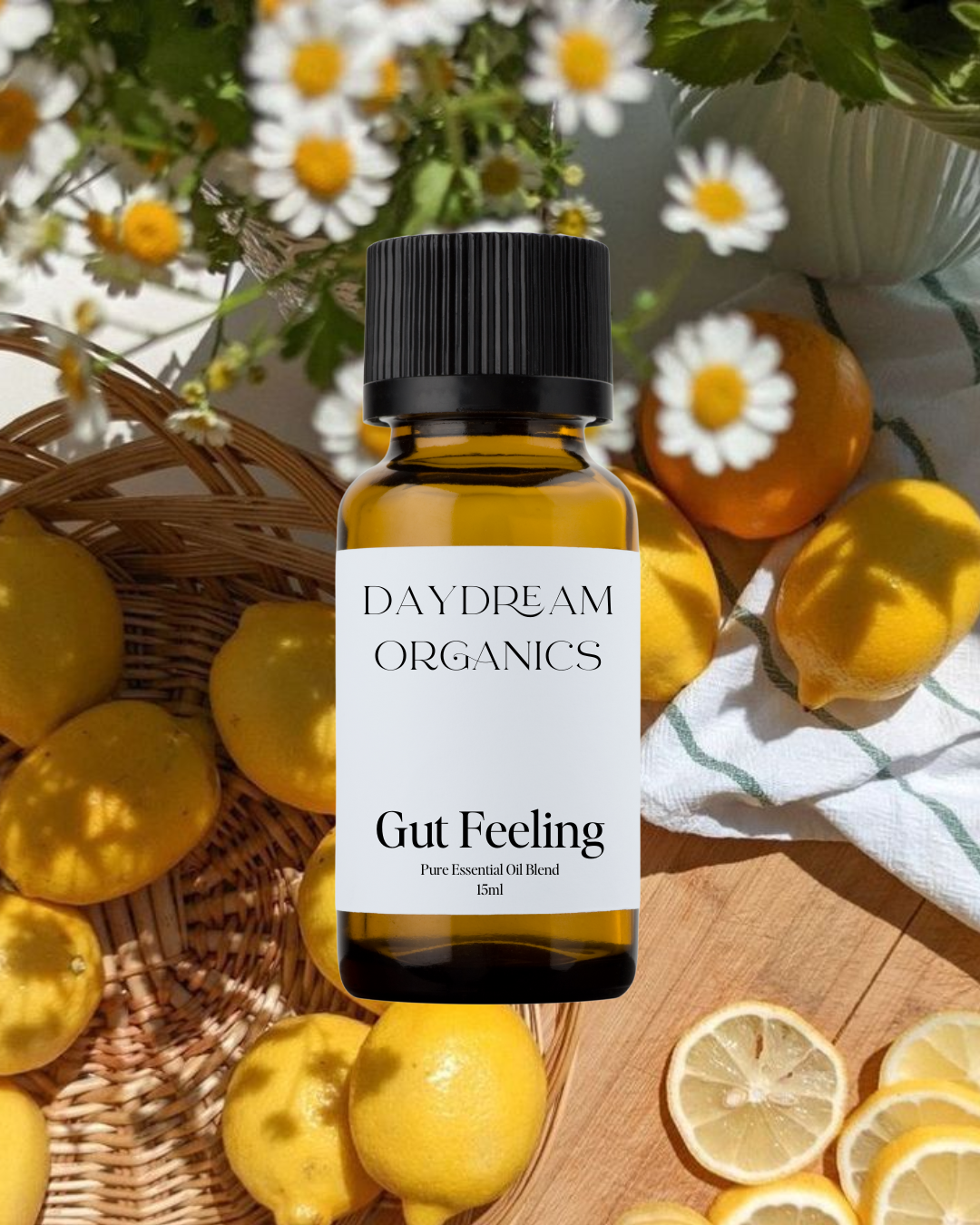 Daydream Organics | Prairie Doctor Brand - Gut Feeling Essential Oil Blend