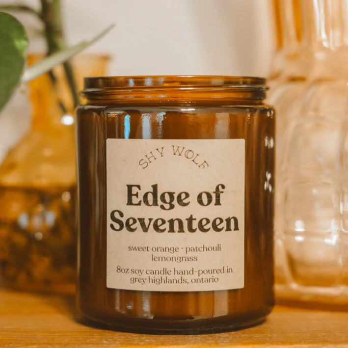 Shy Wolf Candles - Vinyl Collection