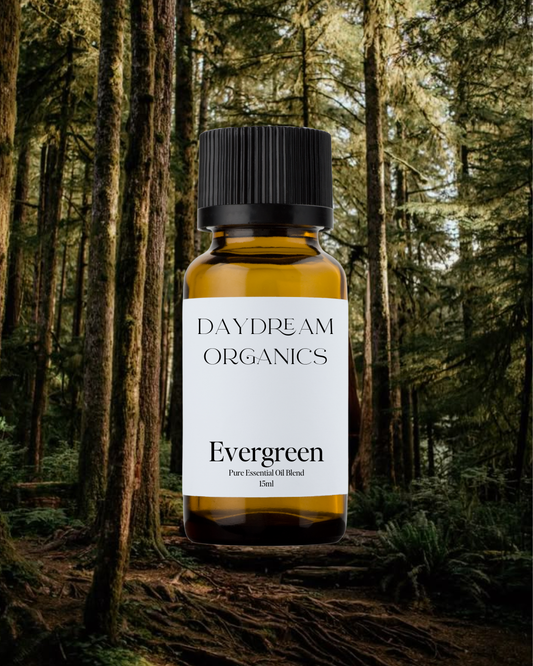 Daydream Organics | Prairie Doctor Brand - Evergreen Essential Oil Blend