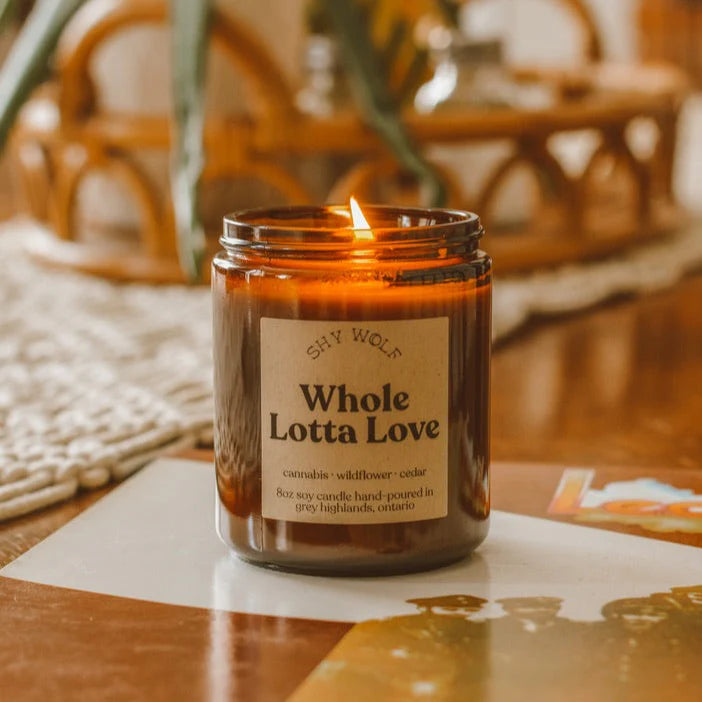Shy Wolf Candle - Vinyl Collection