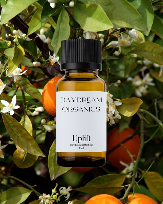 Daydream Organics | Prairie Doctor Brand - Uplift Essential Oil Blend