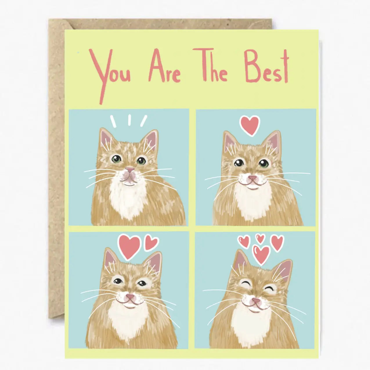 Greeting Cards - Considerate Cat